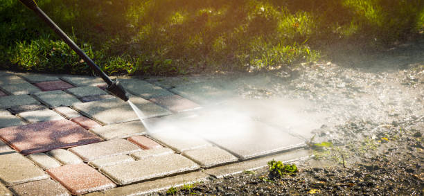 Best Soft Washing  in Magalia, CA